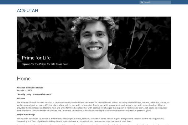 i-transform theme site design template sample