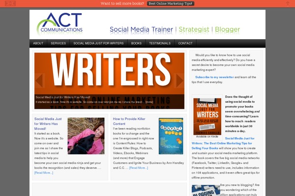 Corporate theme site design template sample