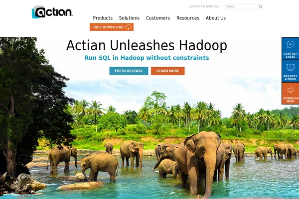 actian theme websites examples