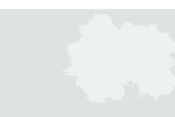 Site using Bogo plugin