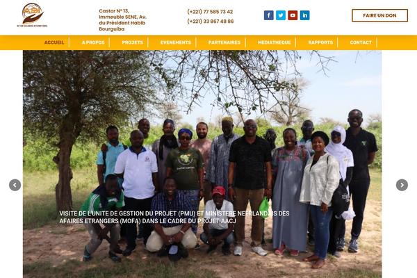 Divi theme site design template sample