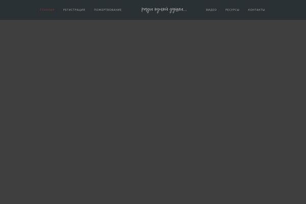 Lucille theme site design template sample