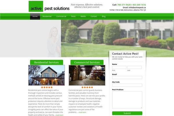 Simple’n’Bright theme site design template sample