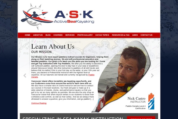Ask theme site design template sample