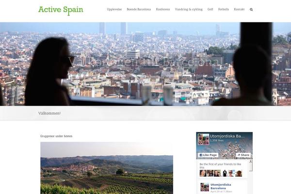 Avada theme site design template sample