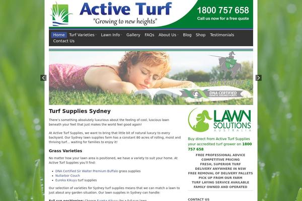 Canvas theme site design template sample