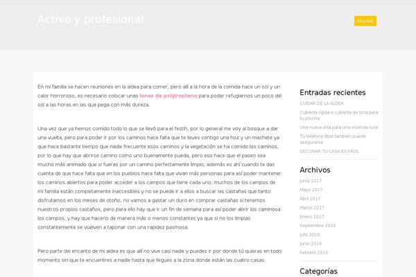 activopro.es site used NovelLite