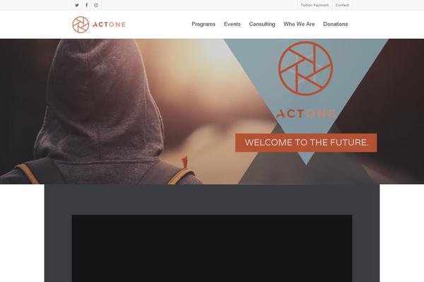 Site using Ultimeter-premium plugin