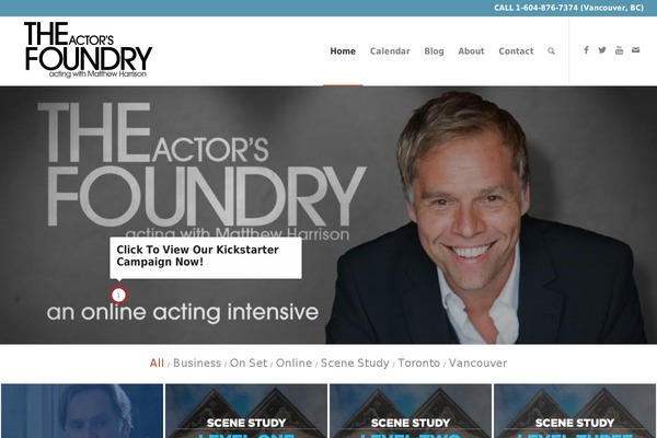 Enfold theme site design template sample