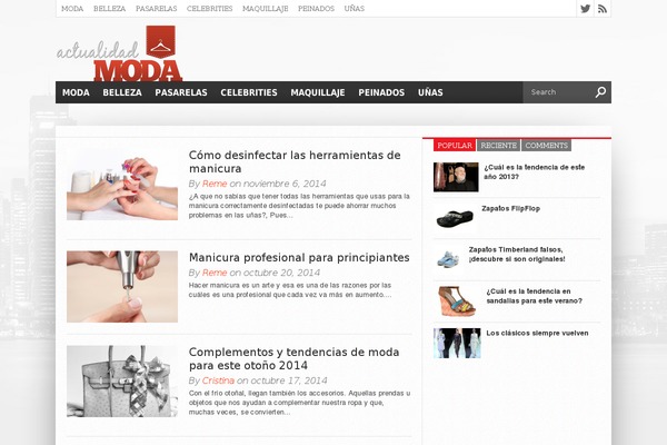 rtPanel theme site design template sample
