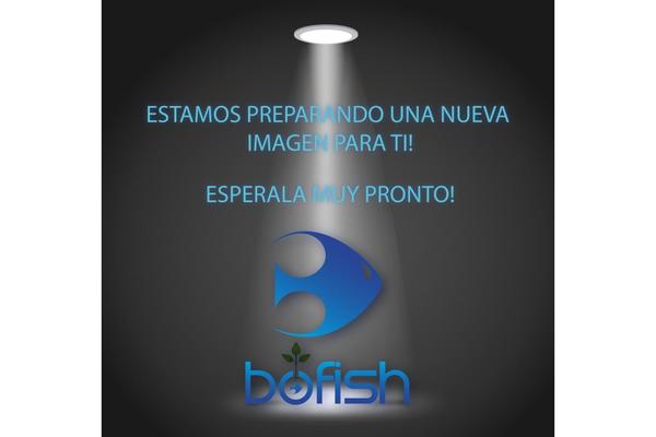 Foxy theme site design template sample