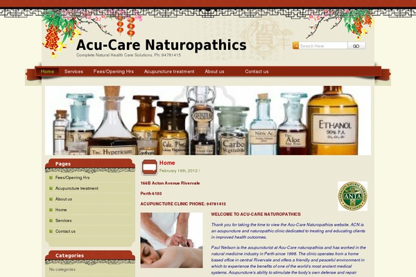 SpringFestival theme site design template sample