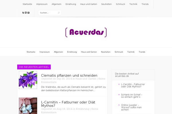 Lucid theme site design template sample