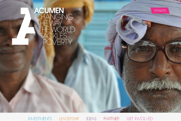 acumen-theme theme websites examples