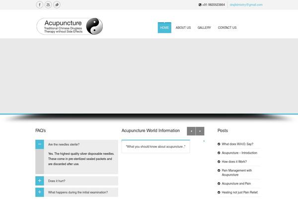 SoulMedic theme site design template sample