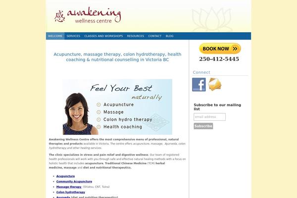 Headway-2014 theme site design template sample
