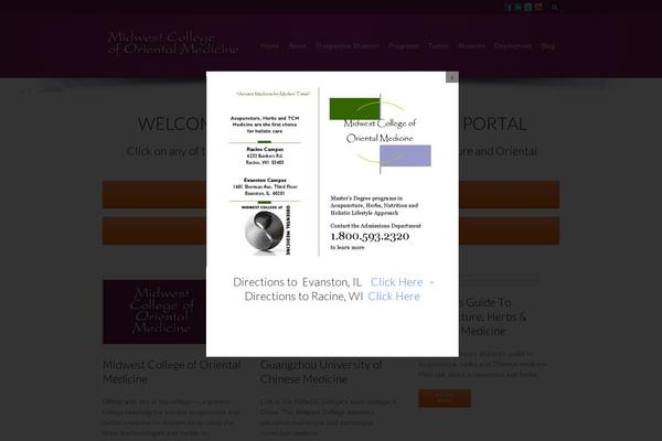 Site using Google Analytics by Yoast plugin