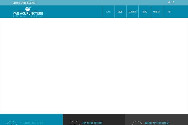 Site using WP Social Widget plugin