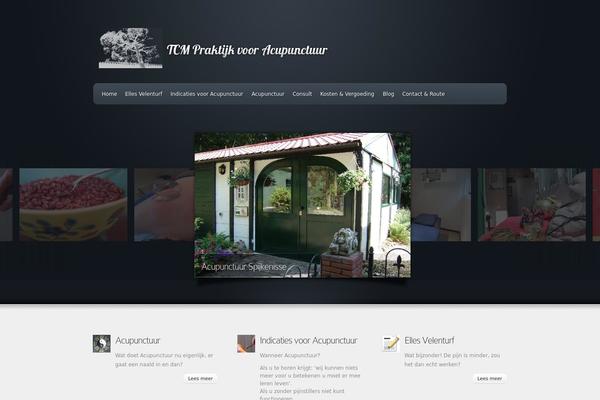 Envisioned theme site design template sample