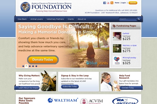 Custom theme site design template sample
