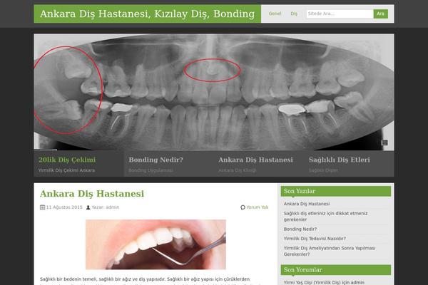 zAlive theme site design template sample