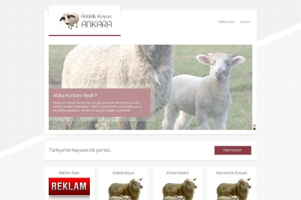 RT-Theme 17 theme site design template sample