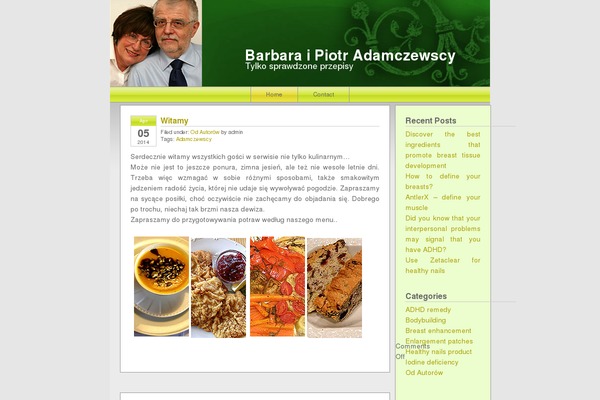 Baughxie theme site design template sample