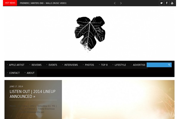Site using Easy Custom Auto Excerpt plugin