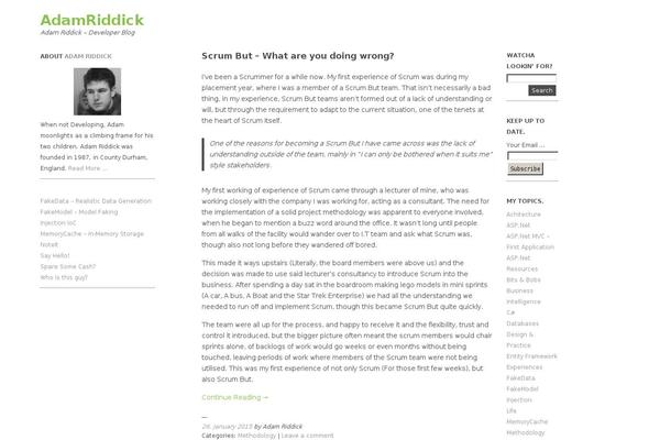 Ari theme site design template sample