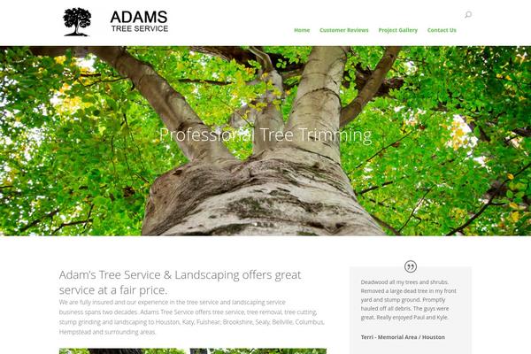 Divi2 theme site design template sample