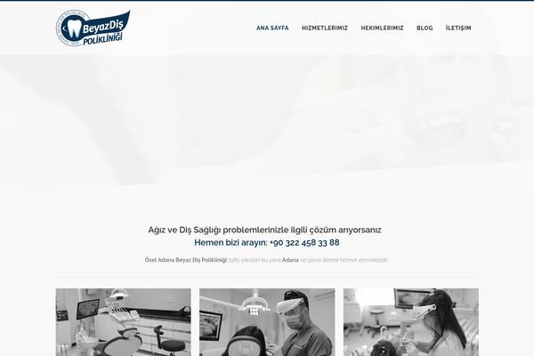 Bridge theme site design template sample