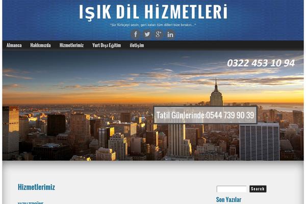 adanaceviri.com site used Adana