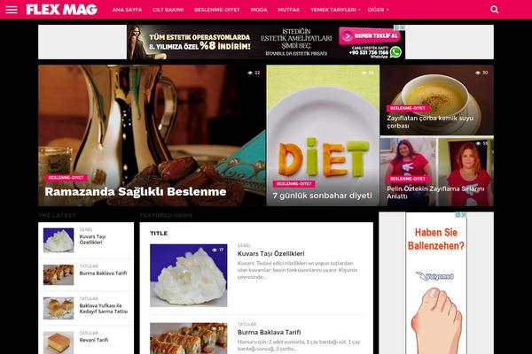 Flex Mag theme site design template sample