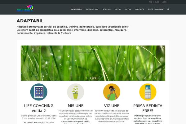 Site using Really Simple Share plugin