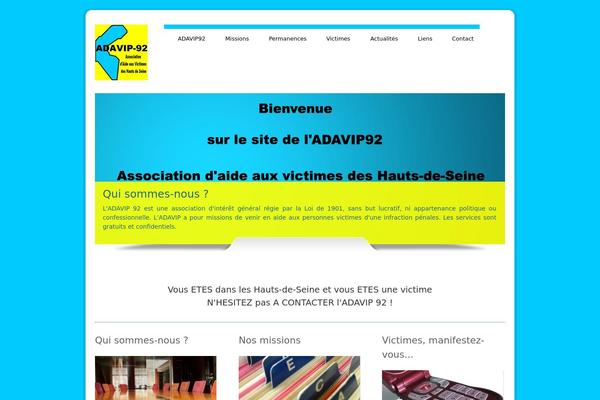 Dzonia Lite theme site design template sample