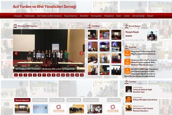 engindernek3.1 theme websites examples