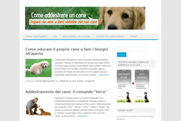 Iconic One theme site design template sample