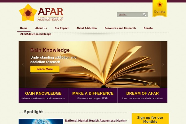 afar theme websites examples