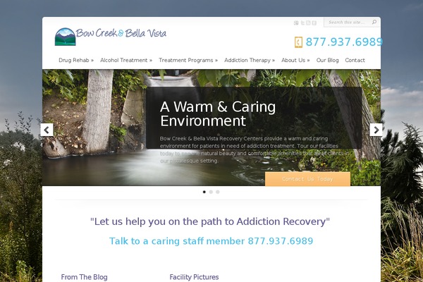 Chameleon theme site design template sample