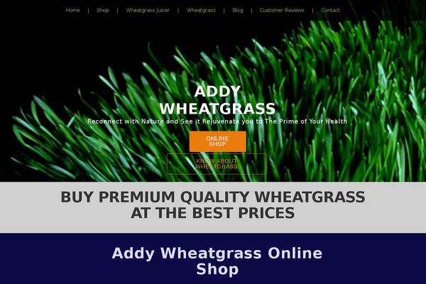 Site using Strong Testimonials plugin