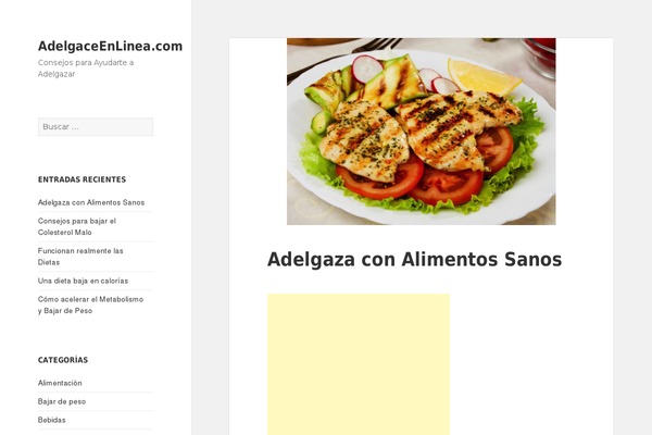 adelgaceenlinea.com site used Adelgaceenlinea