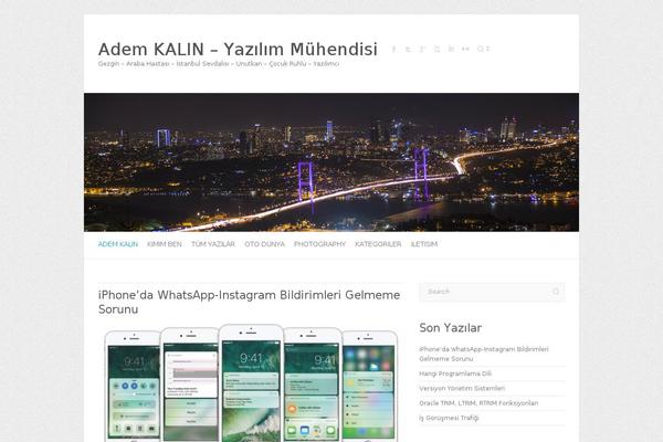 Site using TablePress plugin