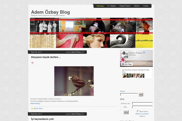 Codilight Lite theme site design template sample