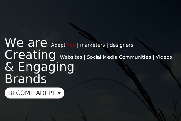 Site using Simple Social Icons plugin