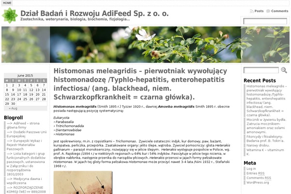 Atahualpa364 theme site design template sample