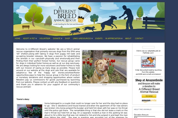 Atahualpa367 theme site design template sample