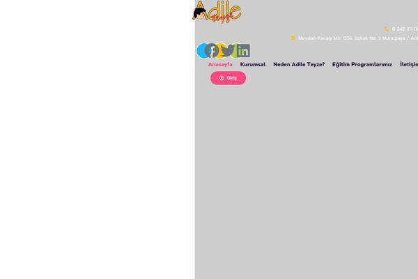 adileteyze.com site used Kindori