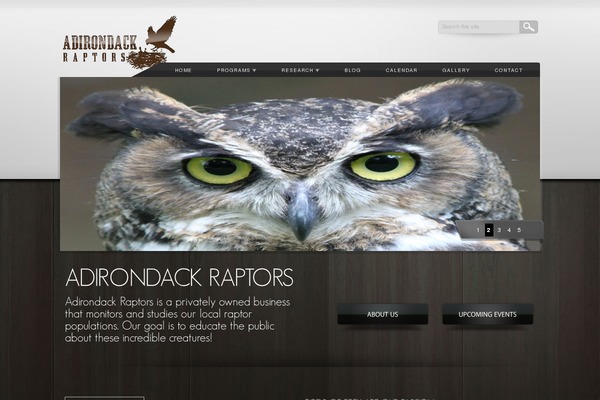 Accentuate theme site design template sample