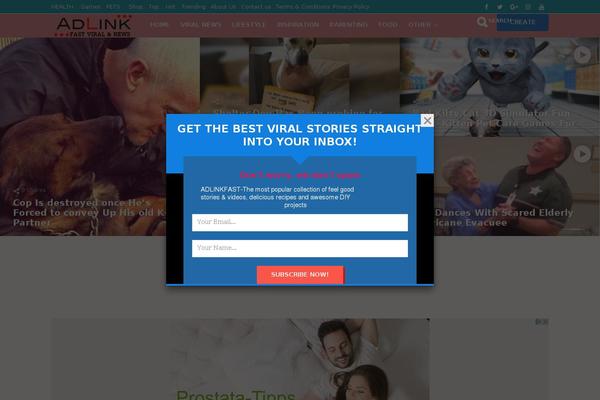 adlinkfast.com site used Pricerrtheme