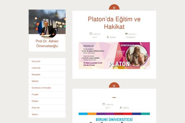 Fictive theme site design template sample